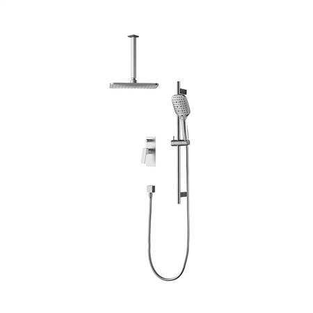 Two-function concealed shower head (top-out)