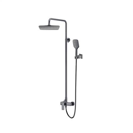 Two function showerhead