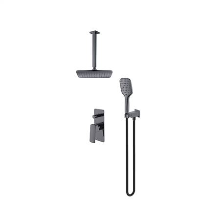 Two function concealed showerhead (top out)