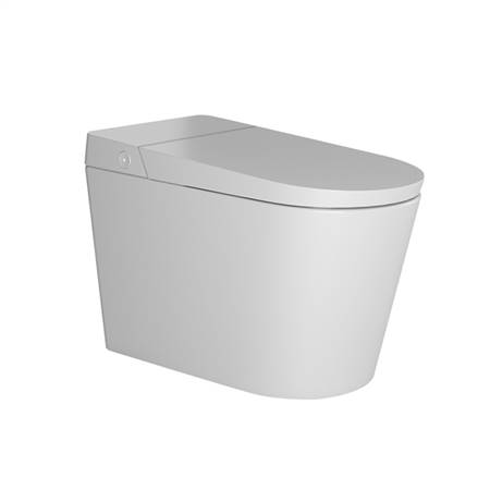 Intelligent toilet seat