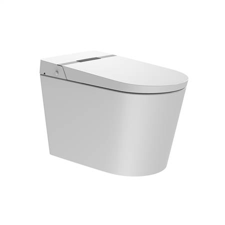 Intelligent toilet seat