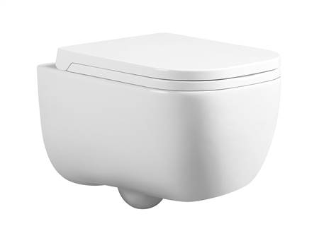 Wall mounted toilet
