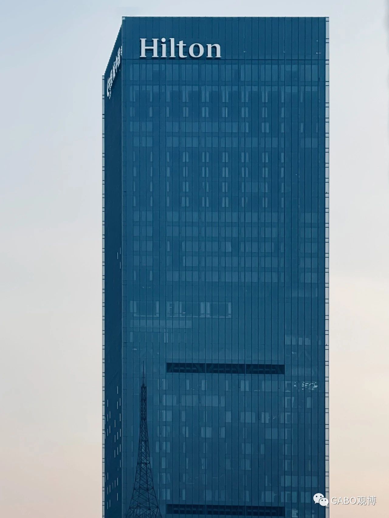 11.jpg 11.jpg